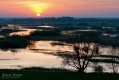 049_Biebrza - kwiecien 2012